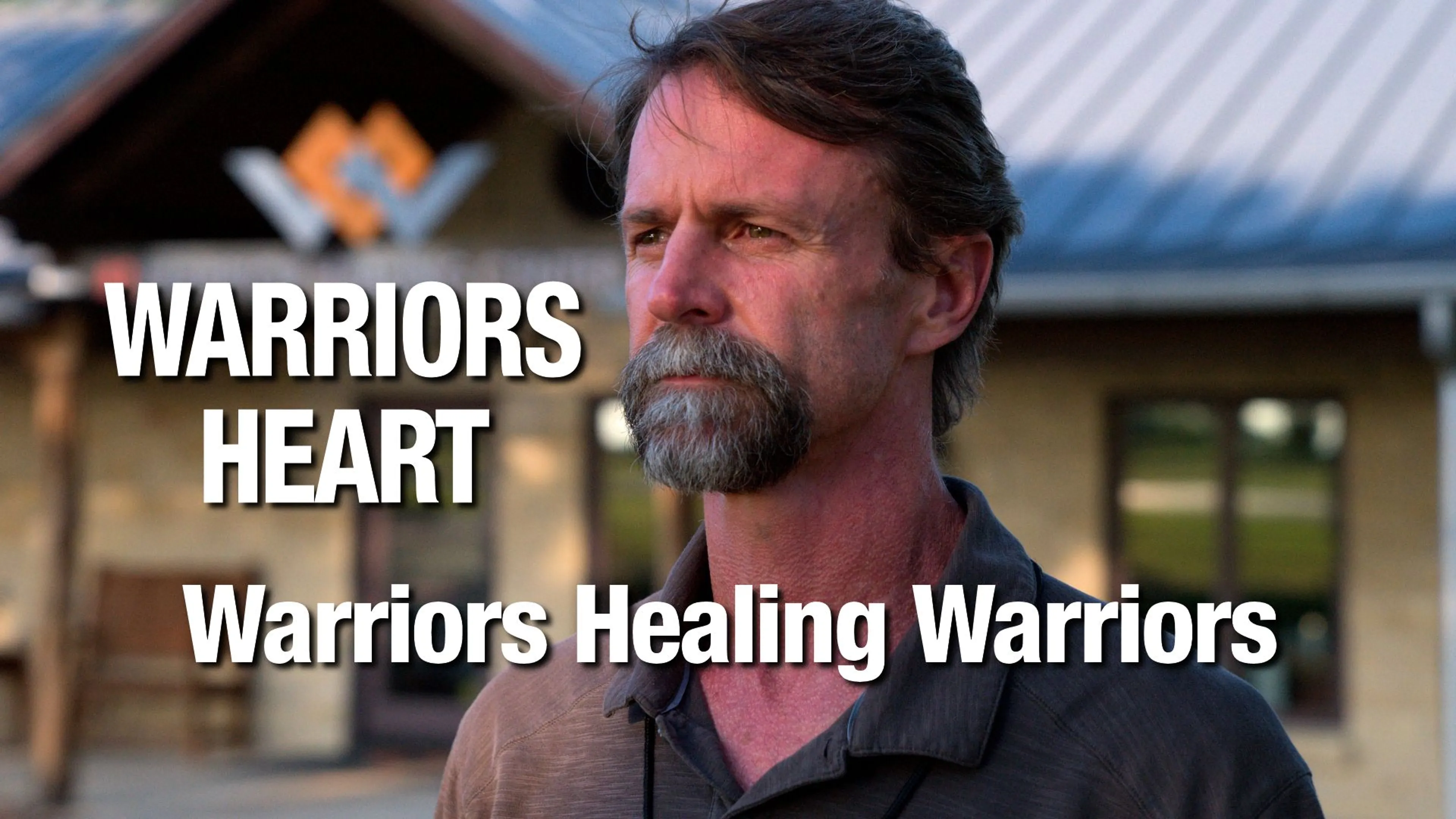 Warriors Heart: Warriors Healing Warriors poster